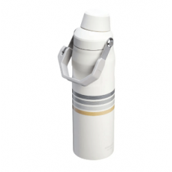Botella Termica Stanley 710ml Aerolight Fastflow Mist Mesh